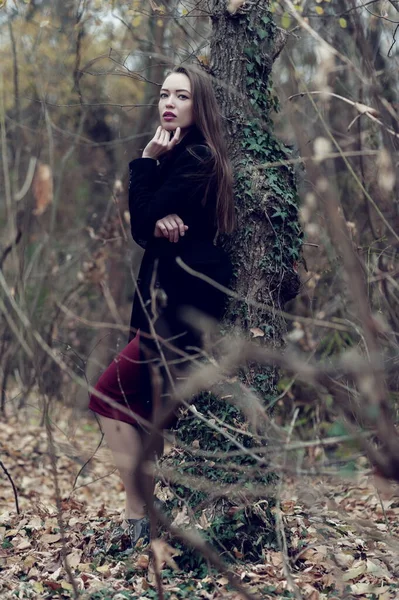 Beautiful Sexy Girl Long Hair Posing Forest Late Autumn — 스톡 사진