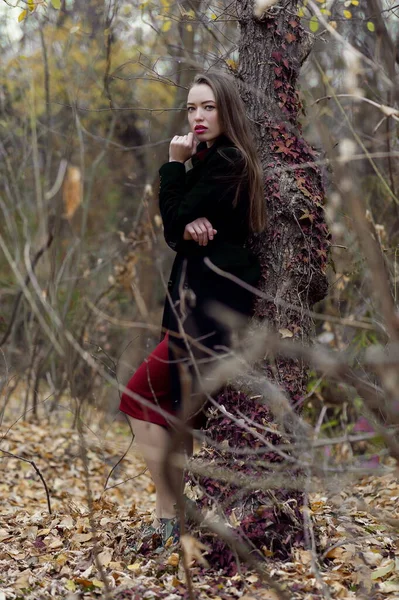 Mooi Sexy Meisje Met Lang Haar Poseren Het Bos Late — Stockfoto