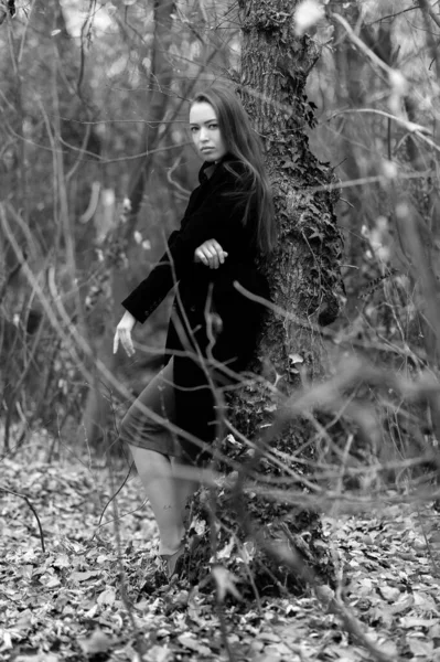 Beautiful Sexy Girl Long Hair Posing Forest Late Autumn — Fotografia de Stock