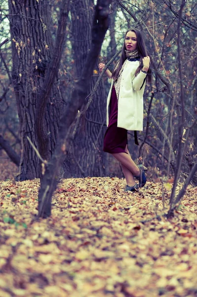 Piękne Sexy Dziewczyna Długimi Włosami Pozowanie Lesie Późną Jesienią — Zdjęcie stockowe