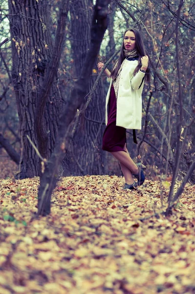 Beautiful Sexy Girl Long Hair Posing Forest Late Autumn — Stockfoto