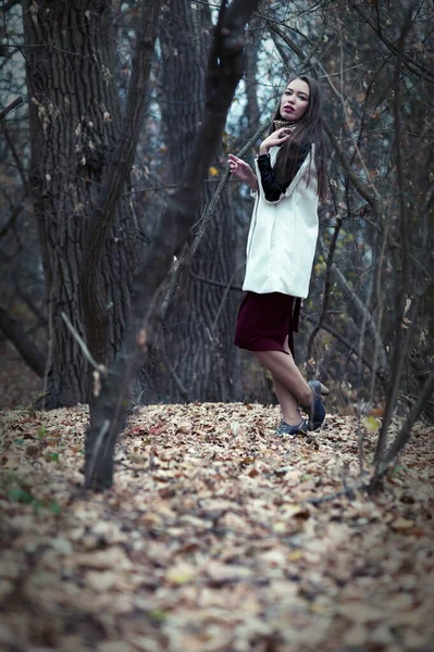 Gyönyörű Szexi Lány Hosszú Haj Pózol Erdőben Késő Ősszel — Stock Fotó
