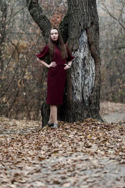 Beautiful Sexy Girl Long Hair Posing Forest Late Autumn Obrazy Stockowe bez tantiem