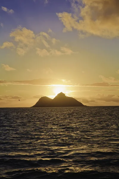 Pacific zonsopgang in Hawaï — Stockfoto