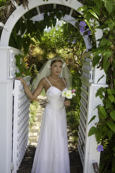 A menyasszony esküvője napján — Stock Fotó