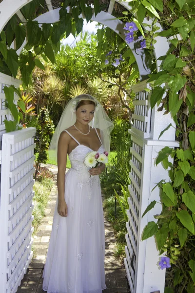 Bride on her wedding day — Stock Photo, Image