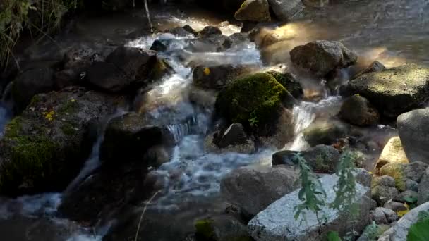 Creek in de bergen — Stockvideo