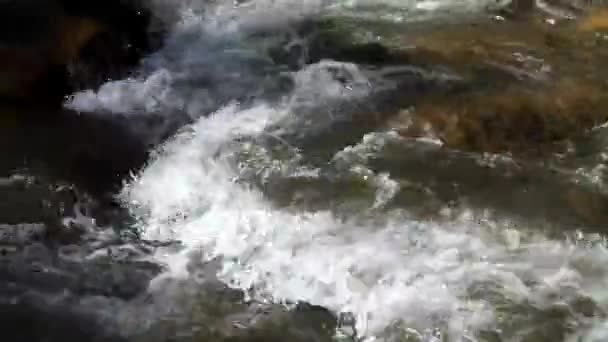 Creek in de bergen — Stockvideo