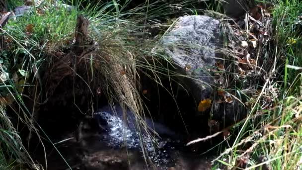 Creek i bergen — Stockvideo