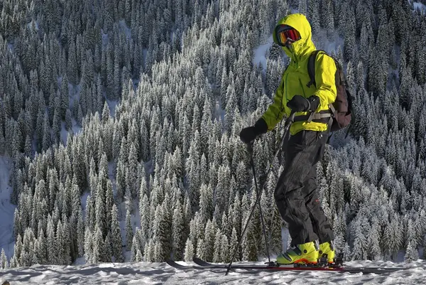 Ski tourist in a forest — Stock Photo, Image