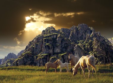 Dağların ortasında