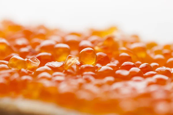Macro CloseUp Caviar on bread — Stock Photo, Image