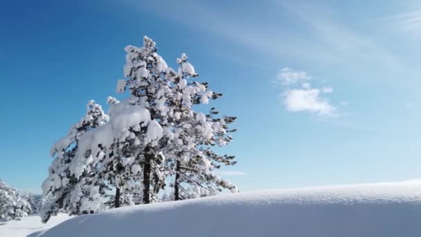 Escena Nieve Idílica Montaña Divcibare Serbia — Vídeo de stock