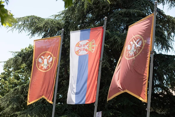 Valjevo Serbia June 2022 City State Flag Masts — Zdjęcie stockowe