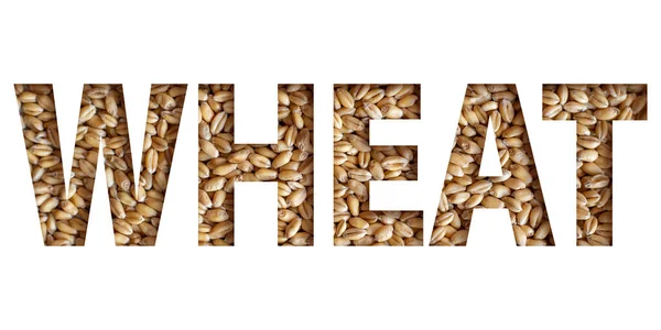 Wheat Word Seed White Background — Stock Photo, Image