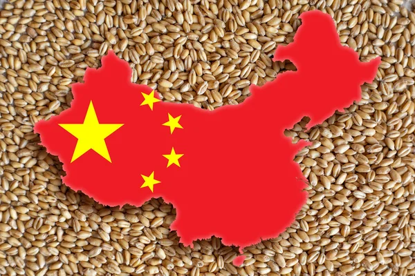 China is one of the largest importers of Ukrainian grain.. Wheat as a food base on the background of the map of China. Concept of food supply crisis and global food scarcity because of war in Ukraine.