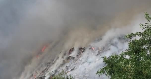 Unorganized Landfill Burning Due High Summer Temperatures Fire Smoke Spread — Stockvideo