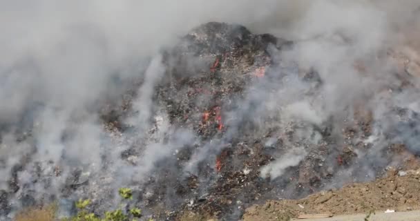 Unorganized Landfill Burning Due High Summer Temperatures Fire Smoke Spread — стоковое видео