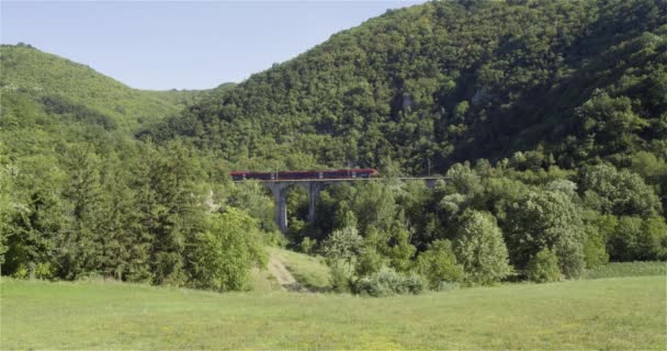 Путешествует Железной Дороге Красный Поезд Пересекает Мост Через Лес Природу — стоковое видео