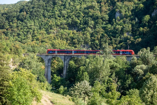 Traveling by railway. Red train crosses the bridge through the forest and nature