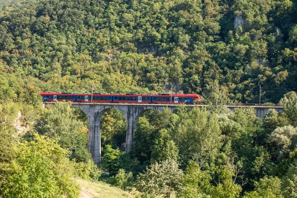 Traveling by railway. Red train crosses the bridge through the forest and nature