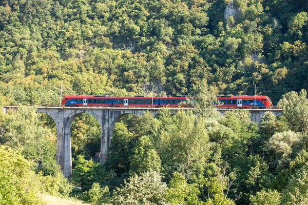 Viaggiare Treno Treno Rosso Attraversa Ponte Attraverso Foresta Natura — Foto Stock