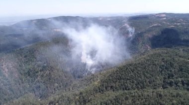 Aerial view of Wildfire on mountain forest, fire on Divcibare, drone view, Serbia