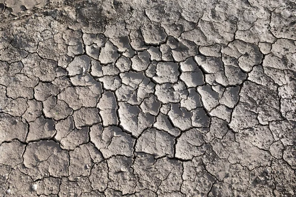 Suchá Popraskaná Neúrodná Půda Bez Humusu Celosvětový Nedostatek Vody Planetě — Stock fotografie