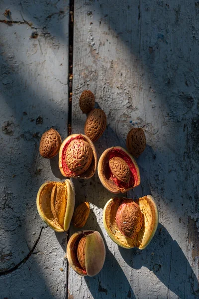 Freshly Peeled Fresh Almond Kernels Dried Shade Diferent Sorts Table — Fotografia de Stock