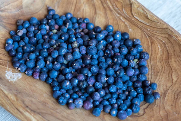Colecting Healthy Juniper Berries — Fotografia de Stock