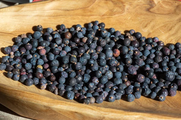 Collecting Berries Juniper Nature Organic Fruits Juniperus Communis — Stok fotoğraf