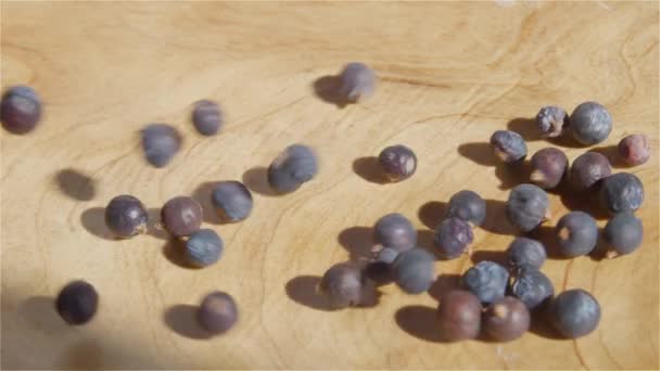 Collected Berries Juniper Fall Wooden Bowl Jupniperus Communis — Wideo stockowe