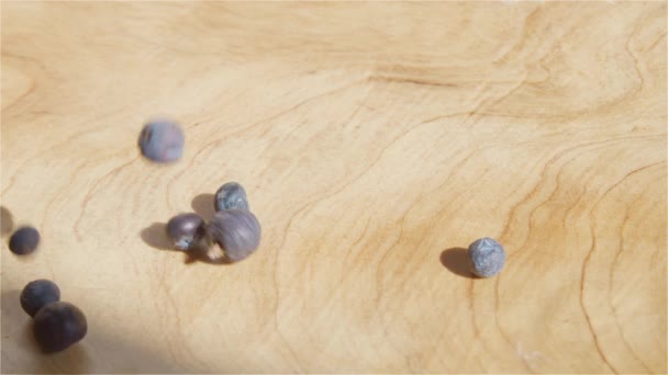 Collected Berries Juniper Fall Wooden Bowl Jupniperus Communis — Stockvideo