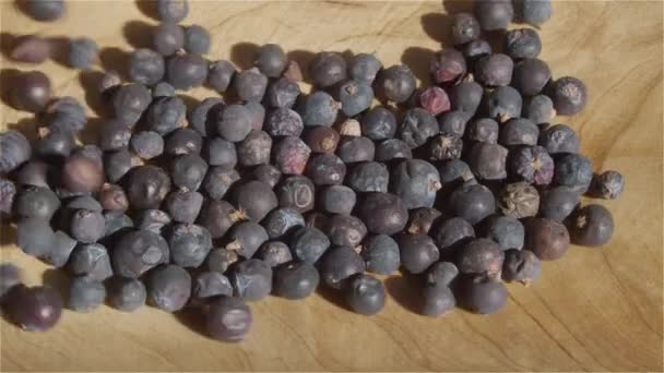 Collected Berries Juniper Fall Wooden Bowl Jupniperus Communis — Stockvideo