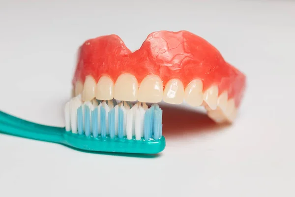 Denture Toothbrush Dental Cleaning Instruction Cleaning Care Hygiene — ストック写真