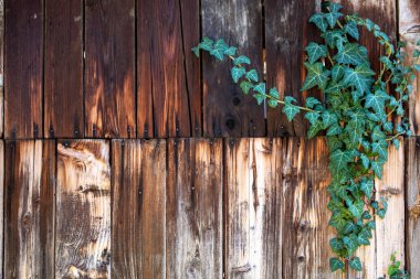 Retro Dark Wood structure background