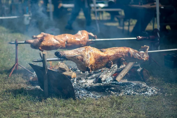 Porco Inteiro Cordeiro Assados Num Cuspo Churrasco Churrasqueira Livre Grelhar — Fotografia de Stock