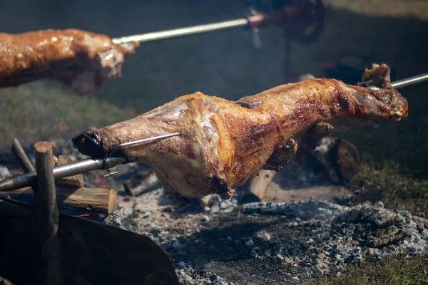 Cordeiro Inteiro Porco Assados Num Espeto Churrasco Churrasqueira Livre Grelhar — Fotografia de Stock