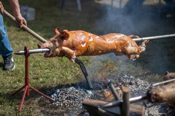 Whole Pig Roasted Barbecue Spit Outdoor Barbecue Grill Classic Traditional — Stock Photo, Image
