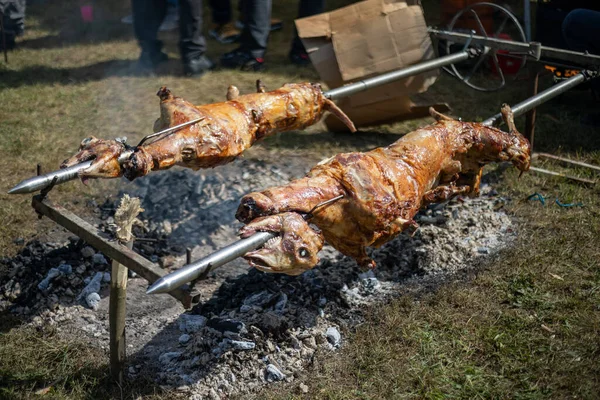 Whole Lambs Lamb Roasted Barbecue Spit Outdoor Barbecue Grill Classic — Stock Photo, Image