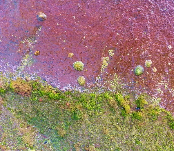 látogathatóak kis polcok