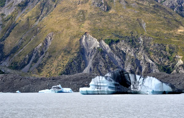 Le réchauffement climatique — Photo