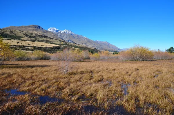 Montain verano — Foto de Stock