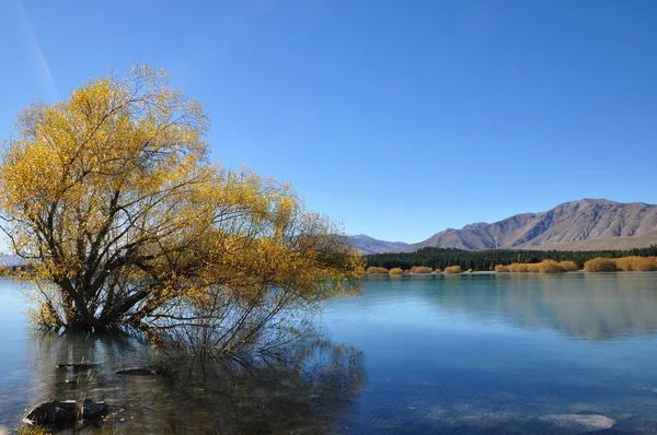 Mountain reflecting in a beautiful lake — Stock Photo, Image