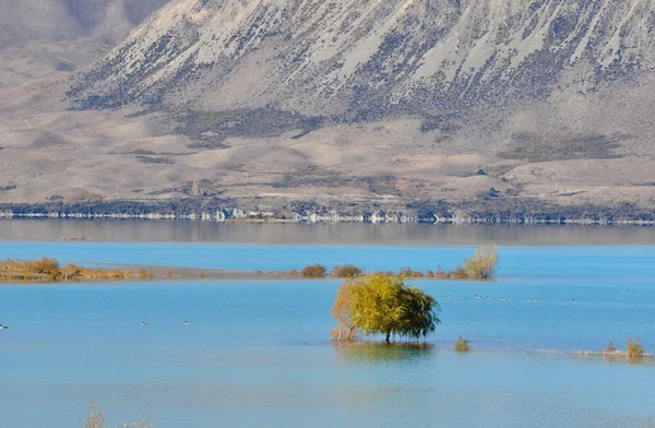 Modré jezero na podzim — Stock fotografie
