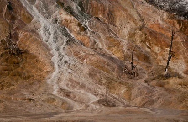 Colorfull terrassen i mammoth hot springs i gul sten — Stockfoto