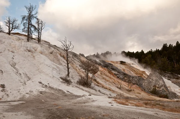 Sarı taş mamut hot springs — Stok fotoğraf