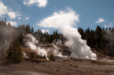 Active geyser in Yellowstone clipart