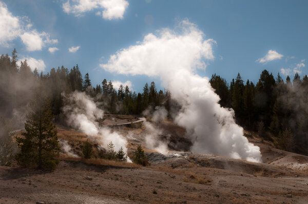 Active geyser in Yellowstone