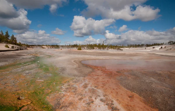 Színes termálforrás Yellowstone — Stock Fotó